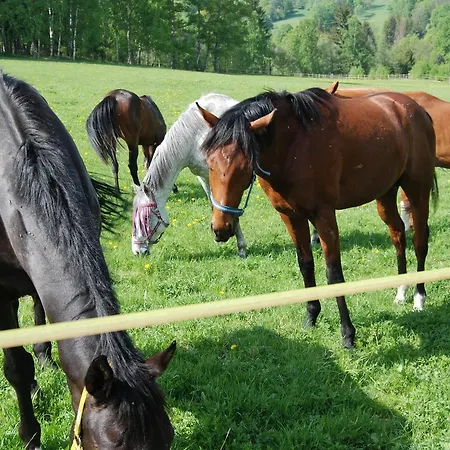 Hamrikova Staj Domek alpejski *