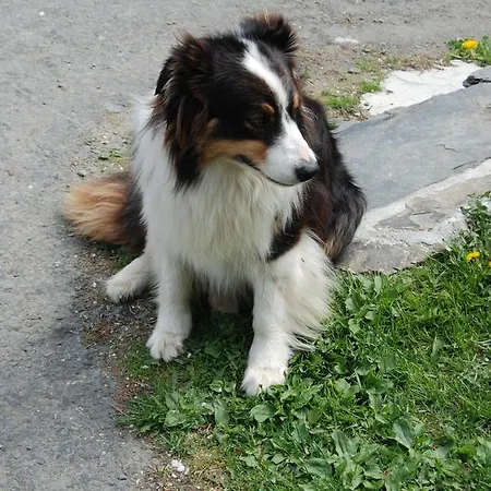 Hamrikova Staj Dolní Moravice