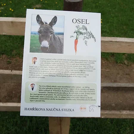 Hamrikova Staj Domek alpejski